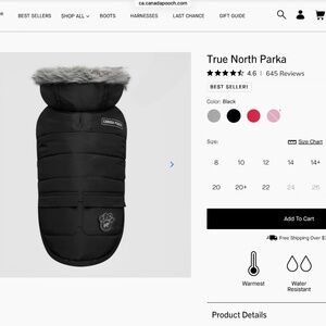Canada Pooch True North Parka Black